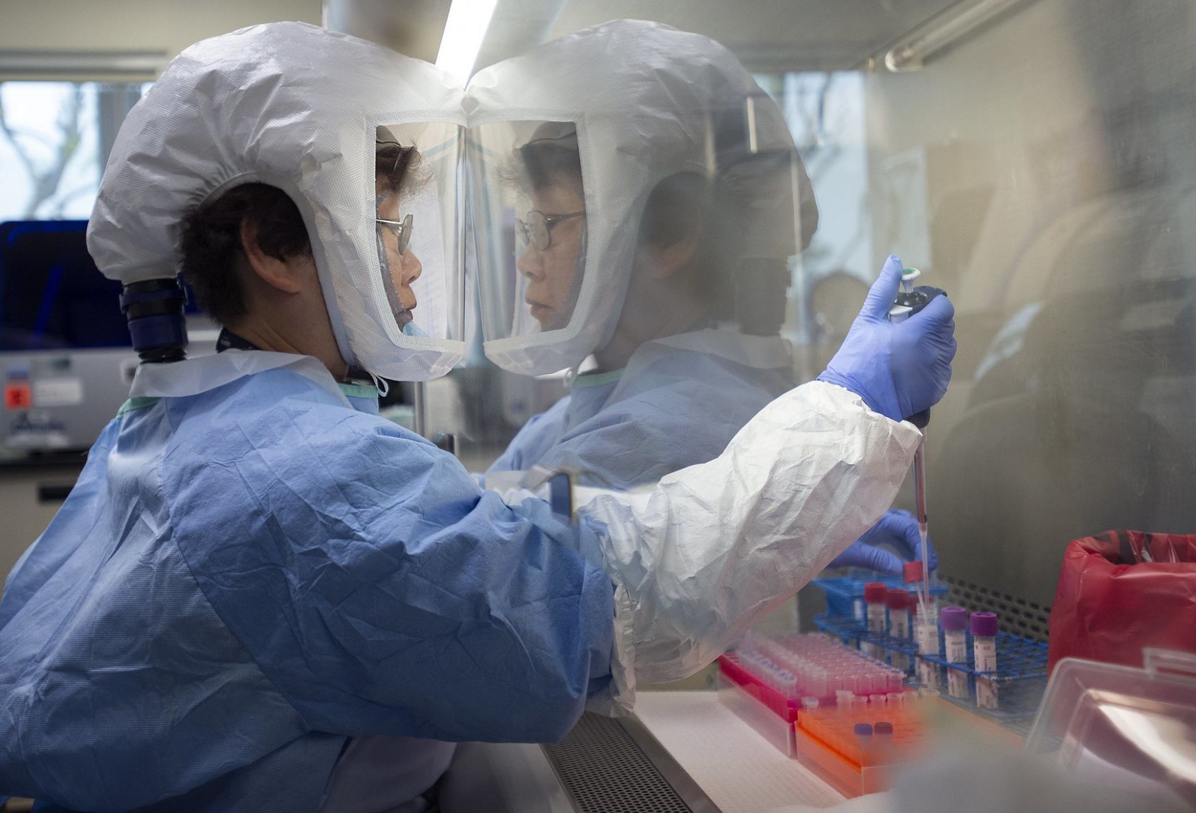 Coronavirus lab testing